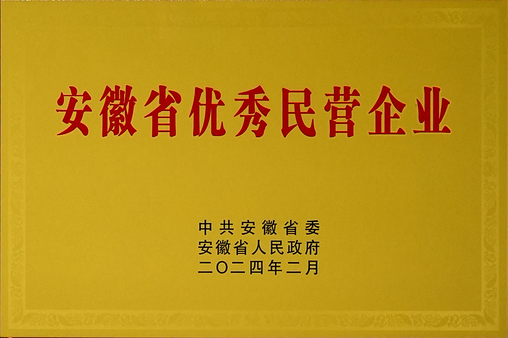 安徽省新春**會，豪家股份榮獲“安徽省百名優(yōu)秀民營企業(yè)”稱號